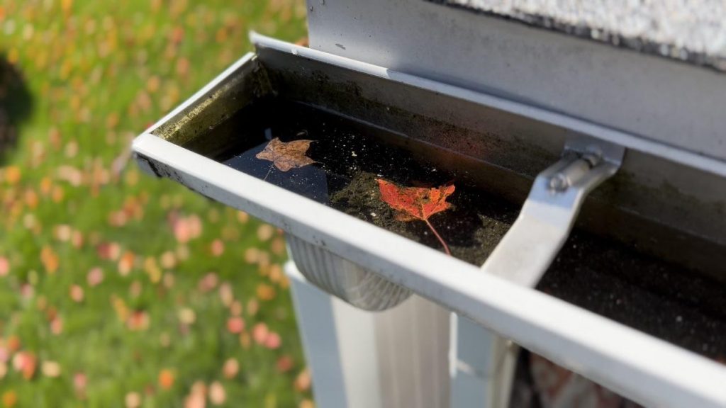 gutter cleaning