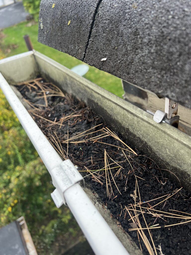 Gutter cleaning