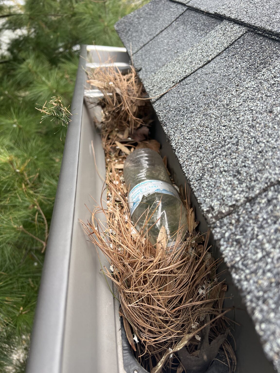 Who Is Responsible For Cleaning Gutters And Downspouts?