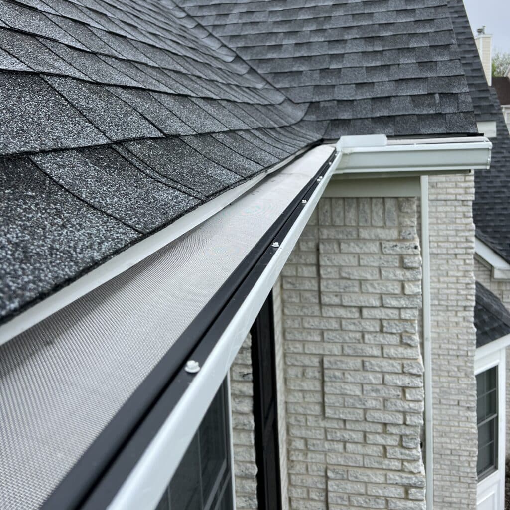 gutter protection with mesh