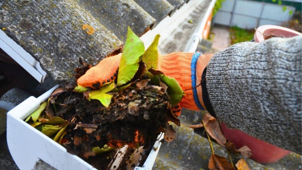Gutter cleaning service in Lehigh Valley PA