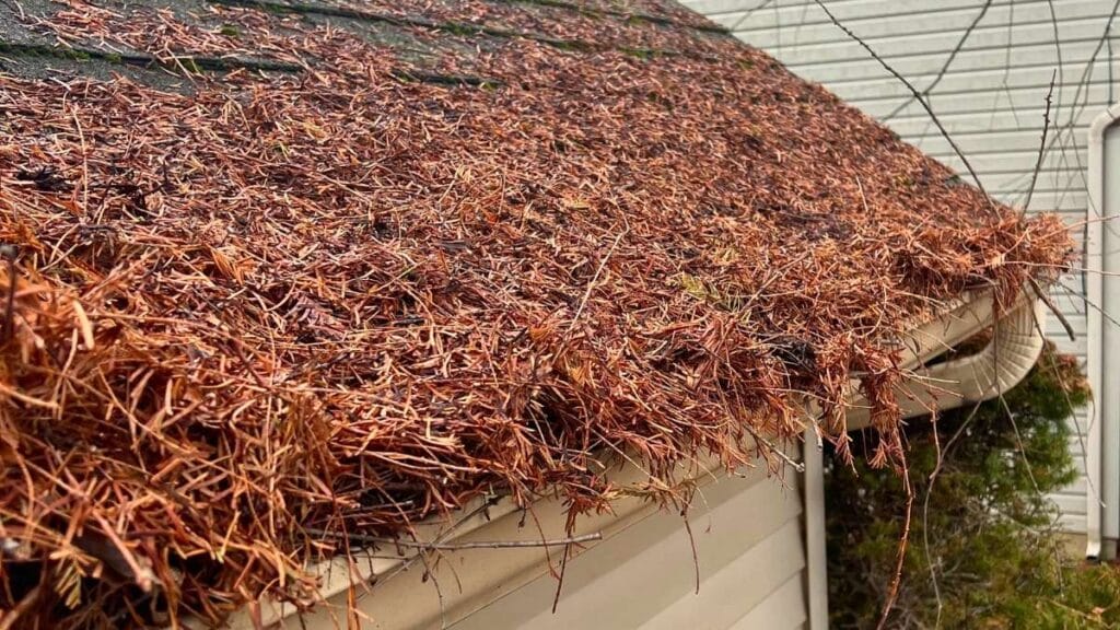 Gutter cleaning service in Lehigh Valley PA