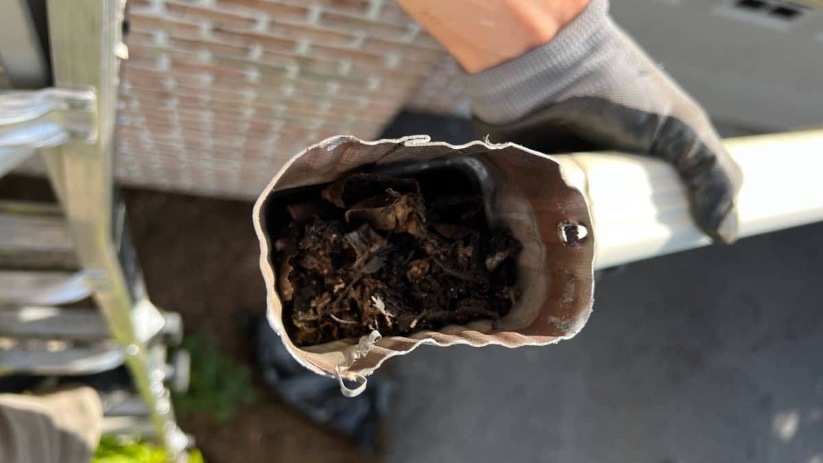 Debris inside a downspout gooseneck during gutter cleaning service