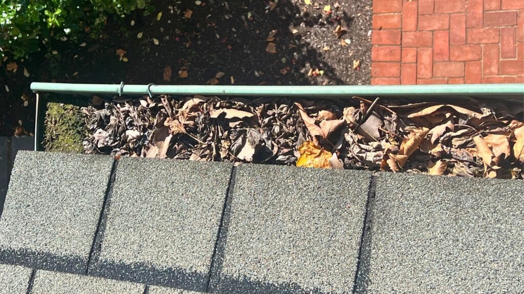Leaves and debris clogging a residential gutter before professional cleaning by Gutter Twins