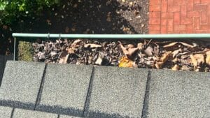Leaves and debris clogging a residential gutter before professional cleaning by Gutter Twins