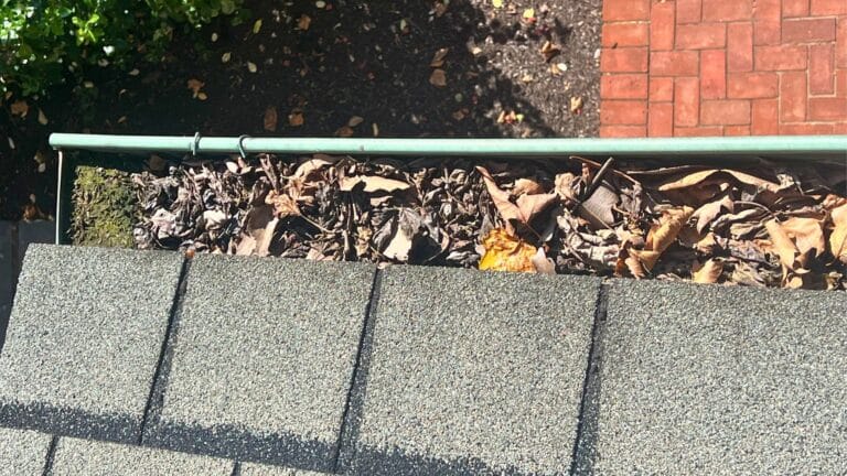 Leaves and debris clogging a residential gutter before professional cleaning by Gutter Twins